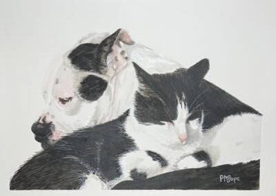 Apollo & Oscar