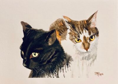 Kitty Cats