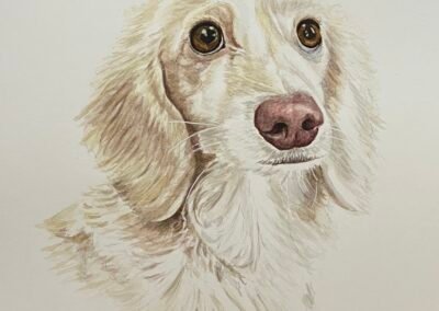 Chester
